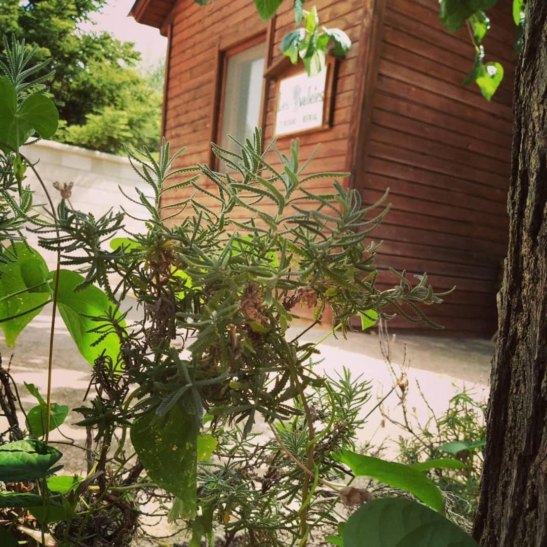 Les Valletes Arnés 部屋 写真